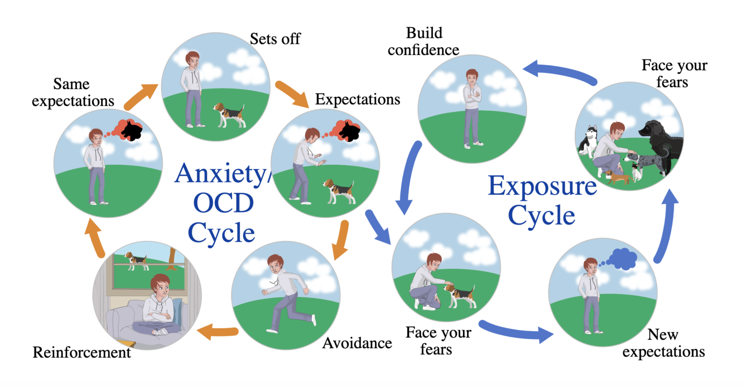 Dog Anxiety Cycle Mayo Clinic Anxiety Coach