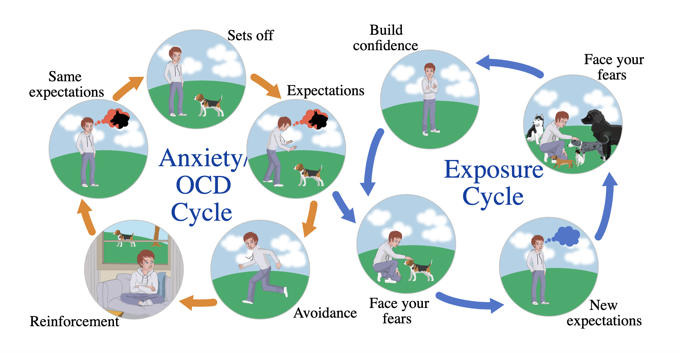 Dog Anxiety Cycle